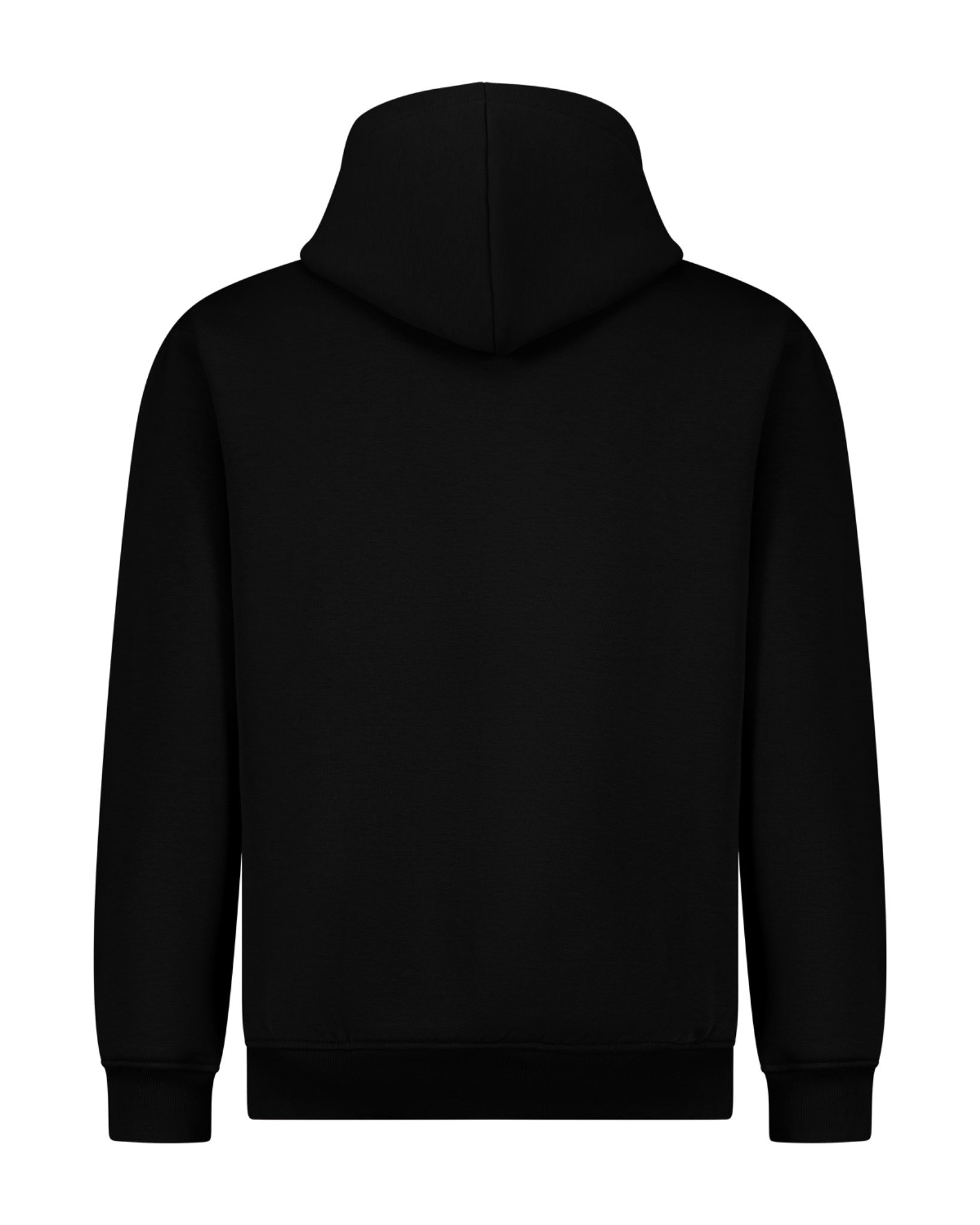AMRI AMARNIA Signature Hoodie