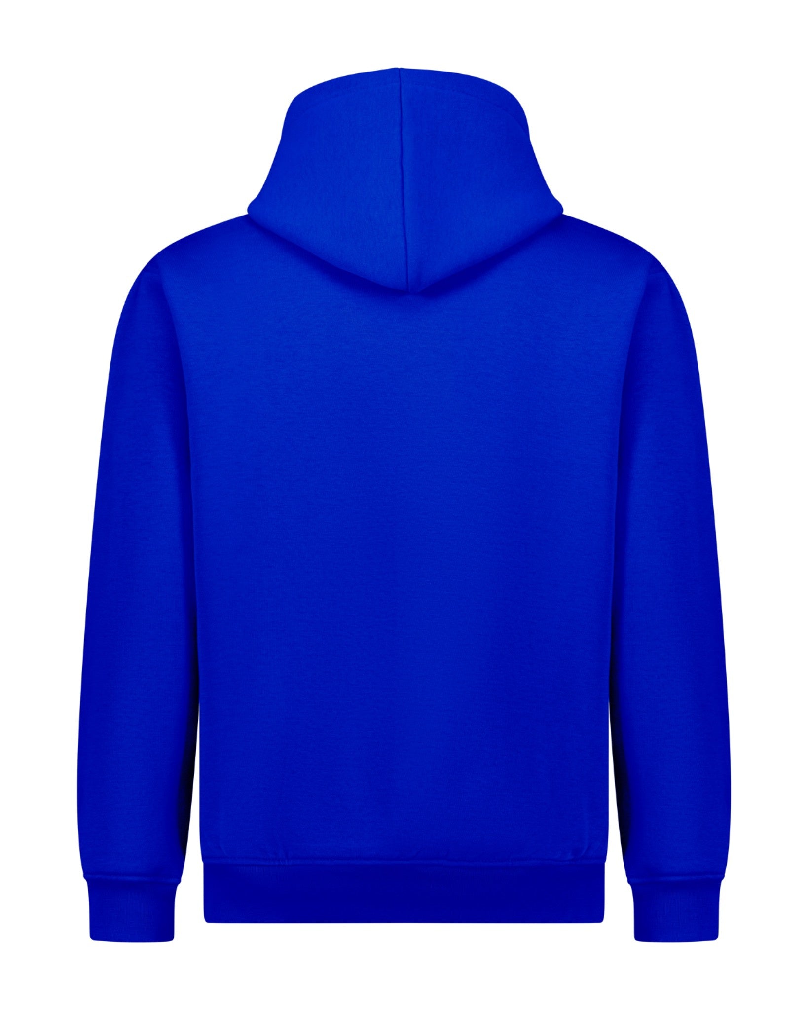 AMRI AMARNIA Signature Hoodie